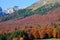 The beautiful Autumn of Col Indes, in the alpago mountains