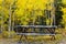 Beautiful Autumn Color in the San Juan Mountains of Colorado. Picnic Table in the Woods