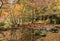 Beautiful autumn colored leaves garden in Daigo-ji temple, Kyoto, Japan