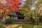 Beautiful autumn colors and Momiji (Maple trees) fall foliage at Chokushi-mon (The gate for Emperor\\\'s Messenger) of Eikan-do Zenr