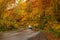 Beautiful autumn colour at the Hakkoda Gold Line road.