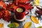 Beautiful autumn composition, postcard. A cup of herbal tea with lemon, a warm blanket and bright autumn leaves. Autumn