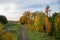Beautiful autumn country landscape view. Gorgeous nature backgrounds. Green yellow trees and road