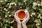 Beautiful autumn cozy flatlay with apple tree branches with ripe fruits, woman`s hands holding cup of warm tea