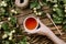 Beautiful autumn cozy flatlay with apple tree branches with ripe fruits, woman`s hands holding cup of warm tea