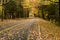 Beautiful Autumn Curved Road