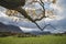 Beautiful Autumn Fall landscape view along valley towards Mellbreak and Grasmoor in Lake District with vibrant epic lighting in