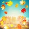 Beautiful autumn falling leaves on sunny day at trees and grass landscape and sky background, outdoor fall nature