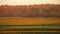 , Beautiful autumn field landscape TimeLapse Time-Lapse. Sunny Sunset Evening. , Calm Country landscape meadow field