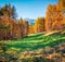 Beautiful autumn forest in the Dolomite Alps. Sunny morning view of mountain valley, Cortina d`Ampezzo lacattion, Italy, Europe.