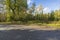 Beautiful autumn forest landscape view. Widening road and meeting place for cars