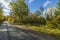Beautiful autumn forest landscape view. Widening road and meeting place for cars