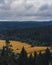 Beautiful autumn karelian forest north nature