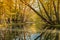 Beautiful autumn lake and forest. Season Abstract natural background. Blurry silhouettes of many green fall trees