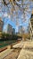 a beautiful autumn landscape along the Ogden Slip waterway with boats docked on the green water, autumn colored trees