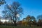 Beautiful autumn landscape with a bright blue sky and trees with changing leaves.