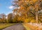 Beautiful autumn landscape with colorful trees and road, golden autumn, November, autumn time