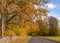 Beautiful autumn landscape with colorful trees and road, golden autumn, November, autumn time