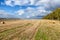 Beautiful autumn landscape, haystacks, field and forest, bright