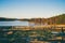 Beautiful autumn landscape. Lakeside in a quiet forest