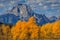 Beautiful autumn landscape with Mount Moran and trees Grand Teton National Park, Wyoming, USA