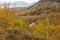 Beautiful autumn landscape in mountains in Kamchatka