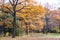 Beautiful autumn landscape. National park Sofiivka, Uman, Ukraine. Autumn park, forest