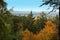 Beautiful autumn landscape with orange trees and firs with the city in the distance