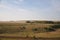 Beautiful autumn landscape plain with trees and a road stretching into the distance