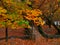 Beautiful autumn landscape from Planitero in Kalavryta, Greece.