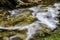 Beautiful autumn landscape with a river full of colour from Sirnea Village in Brasov Romania