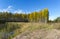 Beautiful autumn landscape on the site of a former sand quarry