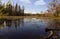 Beautiful autumn landscape view with Seneca lake surface covered with waterlilly pads and old pine trees on the bank