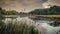 beautiful autumn landscape. view of a swampy lake through coastal reeds in cloudy weather