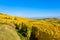 Beautiful autumn landscape with vineyards near the historic village of Riquewihr, Alsace, France - Europe. Colorful travel and