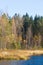 Beautiful autumn landscape with yellow leaves in wetlands. Swamp scenery in fall.