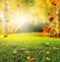 Beautiful autumn landscape with yellow trees,green grass and sun