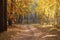 Beautiful autumn lane in the forest. Autumn landscape. Composition of nature.