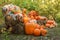 Beautiful autumn location with pumpkins, Halloween