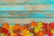 Beautiful autumn maple leaves background.