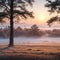 a beautiful autumn misty sunrise landscape.