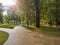 Beautiful autumn morning in the city park. Pavement walkway