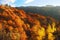 Beautiful autumn mountains