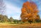 Beautiful autumn nature background.