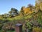 Beautiful autumn nature tree scene autumnal gold trees sunshine sky