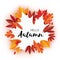 Beautiful Autumn paper cut leaves. Hello Autumn. September flyer template. Maple shape frame. Space for text. Origami