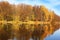 Beautiful autumn park. Autumn in Minsk. Autumn trees and leaves. Autumn Landscape.Park in Autumn. Mirror reflection of trees in wa