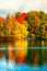 Beautiful autumn park with colourful leaves, trees and lake.