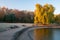 Beautiful autumn park at frosty morning. Yellowed weeping willow tree reflected in the frozen water