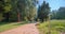 Beautiful autumn park with path, bench and various green trees